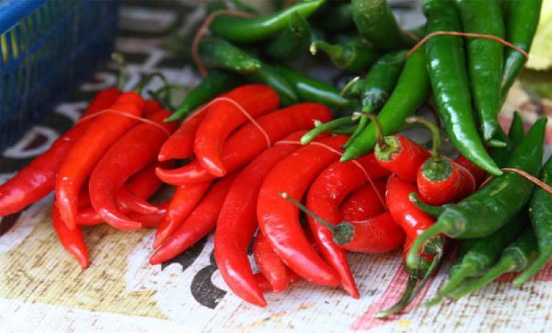 bitter pepper benefits and harms