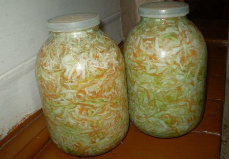 lahana nasıl doğru şekilde fermente edilir