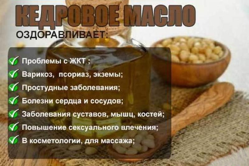 užitočné vlastnosti oleja z cédrových orechov