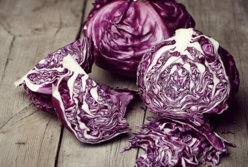 red cabbage benefits and harms