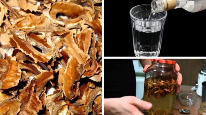 septum vlašské ořechy léčivé vlastnosti