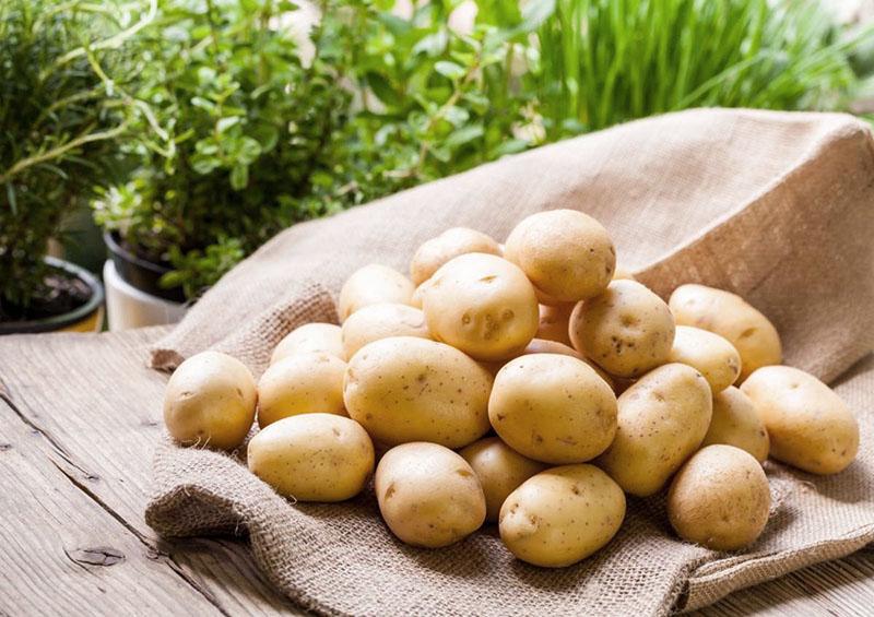 bulvių veislių „Adretta“ derlius