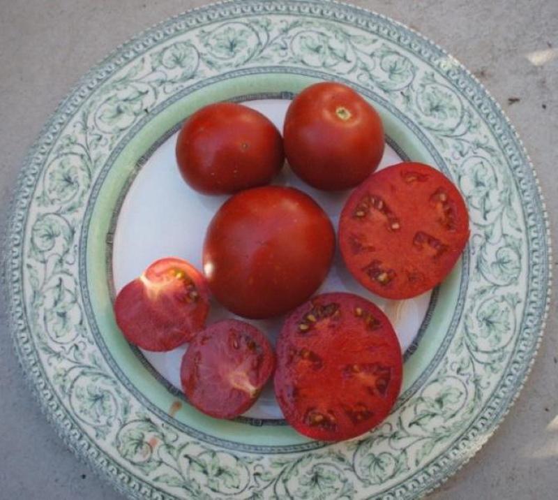 Yamal domates meyvesi