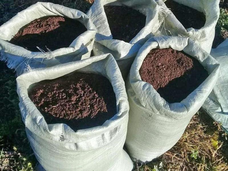 gotowy kompost w workach