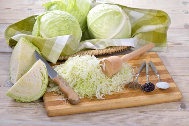 cabbage for pickling the best varieties