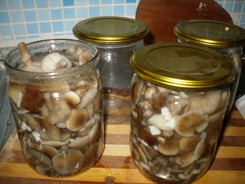 Bereide champignons met marinade gieten