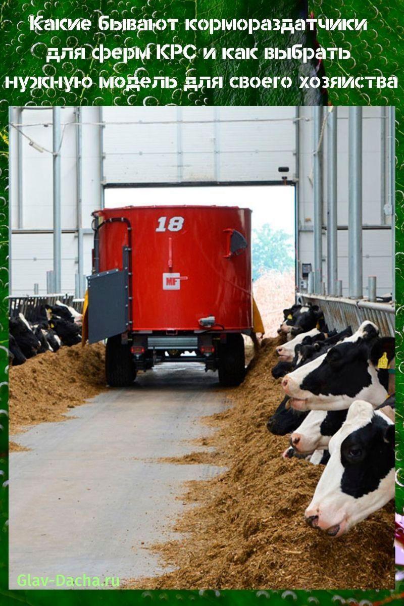 feed dispensers for cattle farms