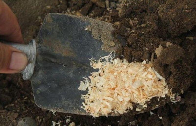 kuinka tehdä maaperän seos sahanpurusta