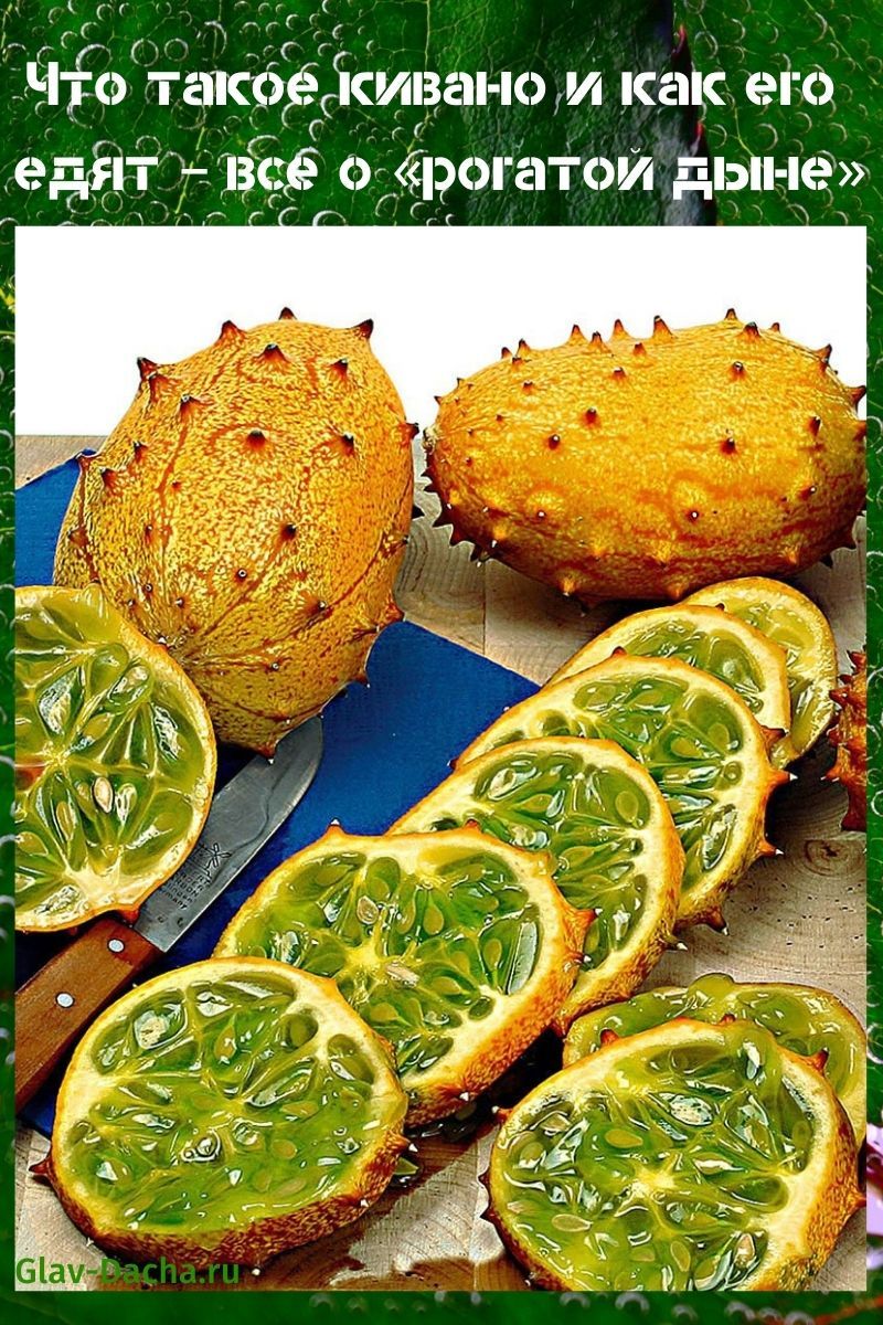 what is kiwano and how is it eaten