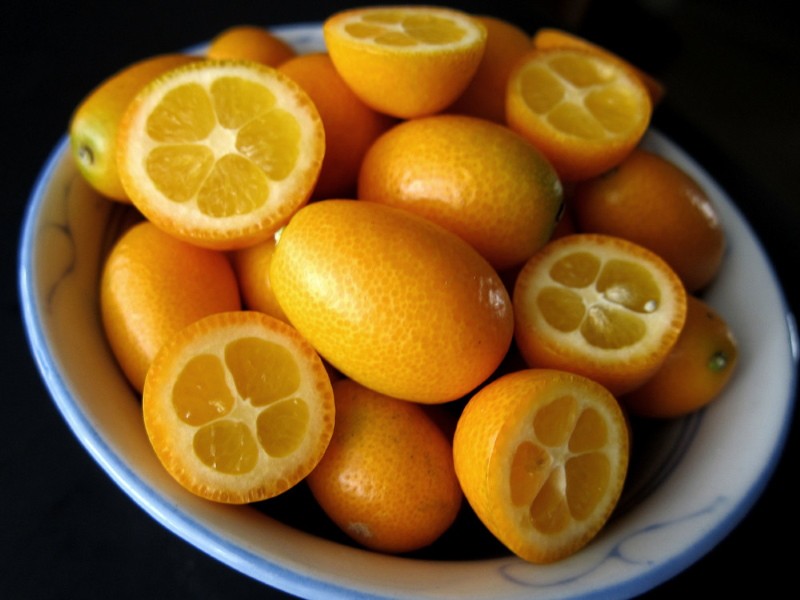 Kumquat-Frucht