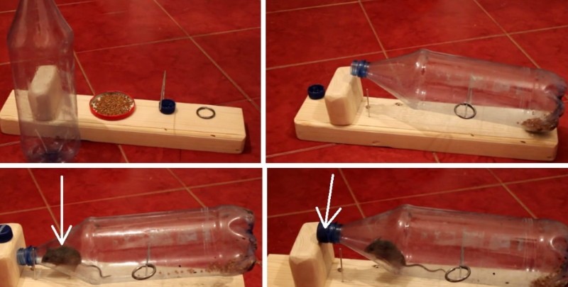 vídeo armadilha de rato de garrafa de plástico