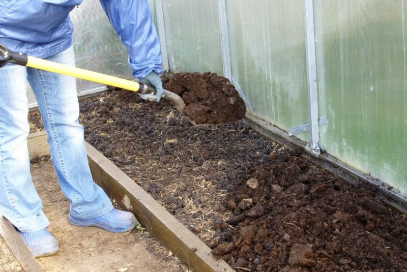 подготовка на почвата в оранжерията