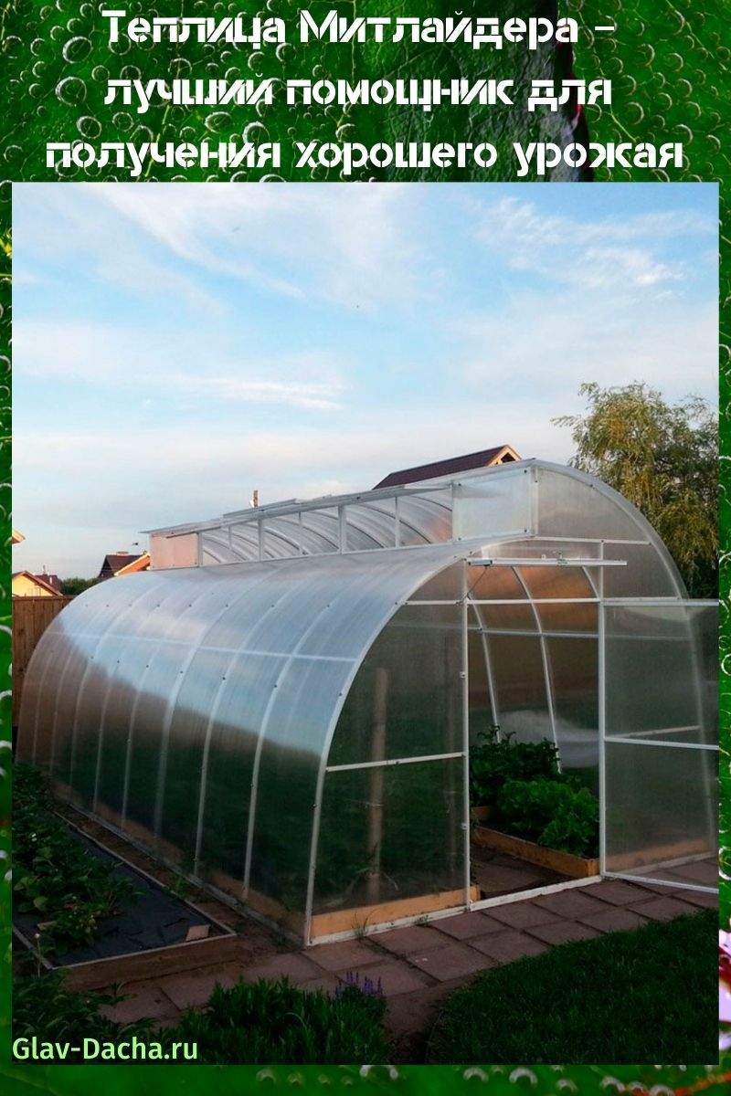 Meatlider's greenhouse