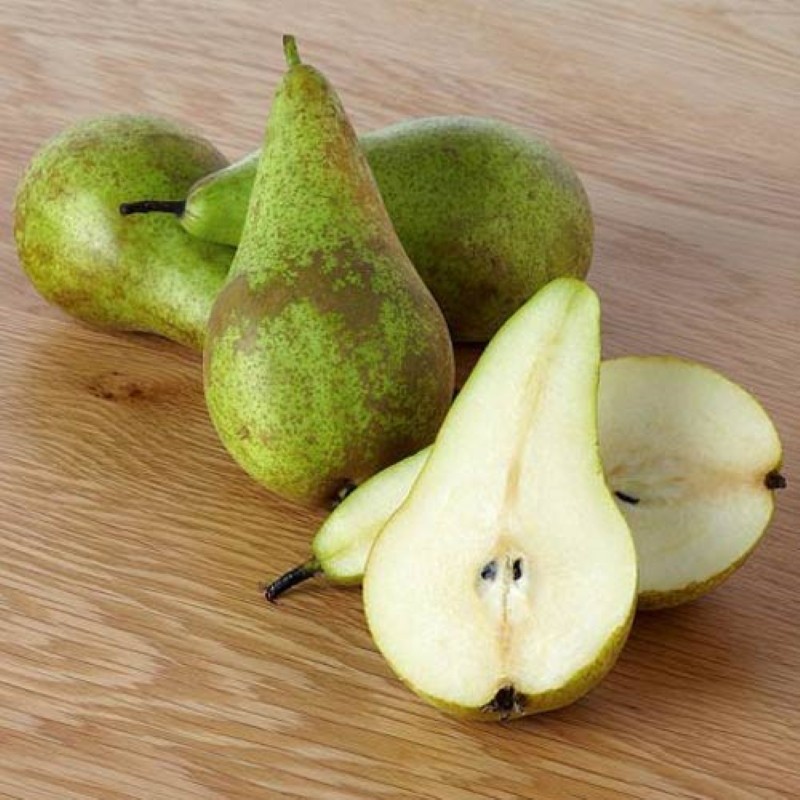 pear fruit conference