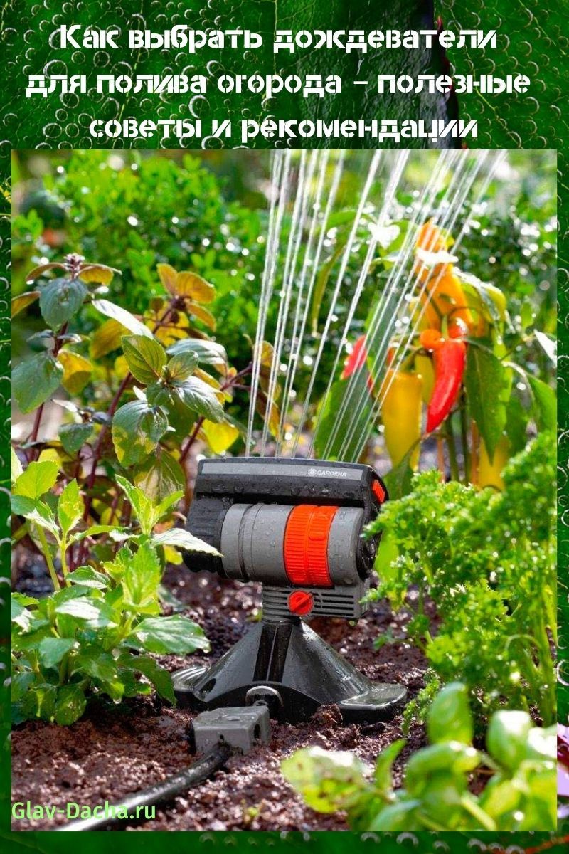 How to choose sprinklers for watering your garden