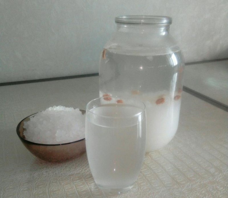 Индийски морски ориз полезни свойства