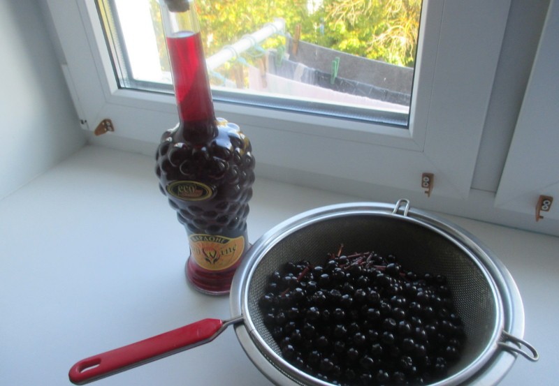 useful properties of blackberry tincture