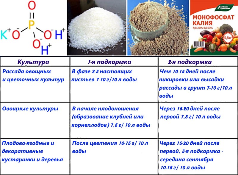 application d'engrais monophosphate de potassium