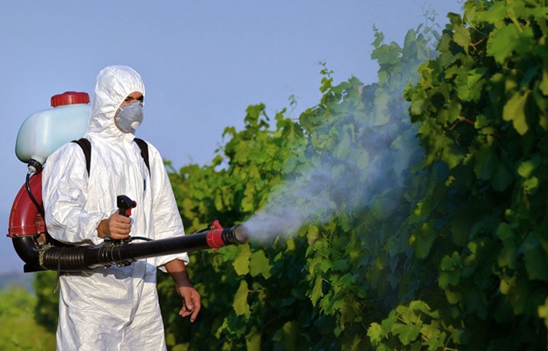 característiques dels pesticides