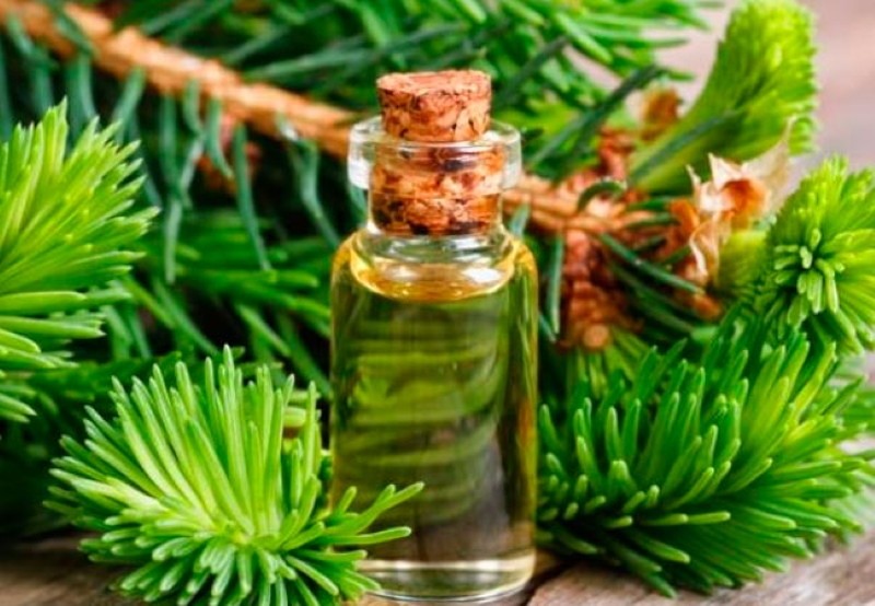pine oil properties and uses