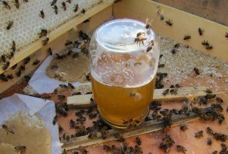 Was ist das Besondere an Honig?