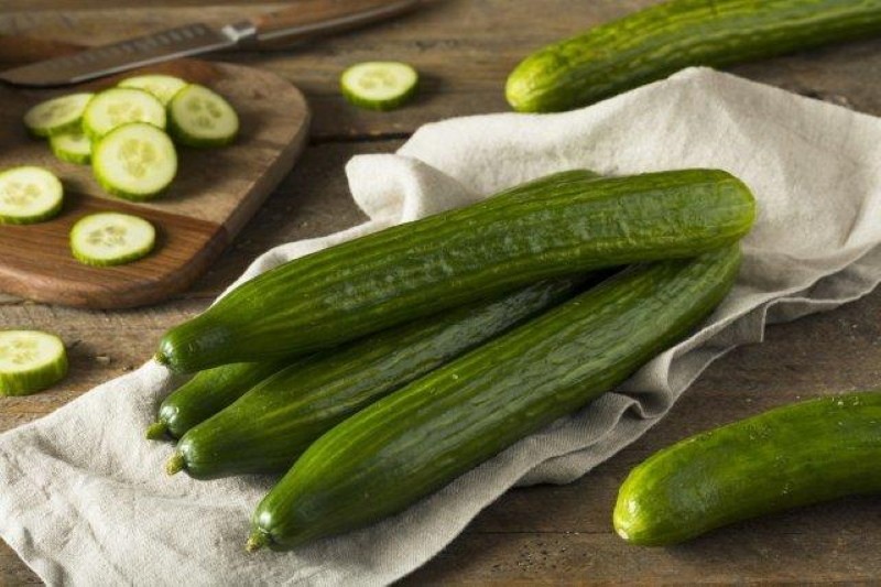 features of chinese cucumbers