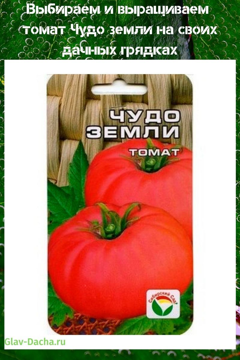 tomato wonder of the earth