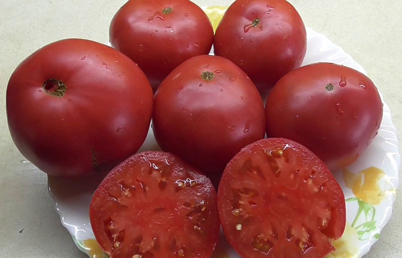 abgeschnittenes Tomatenwunder der Erde