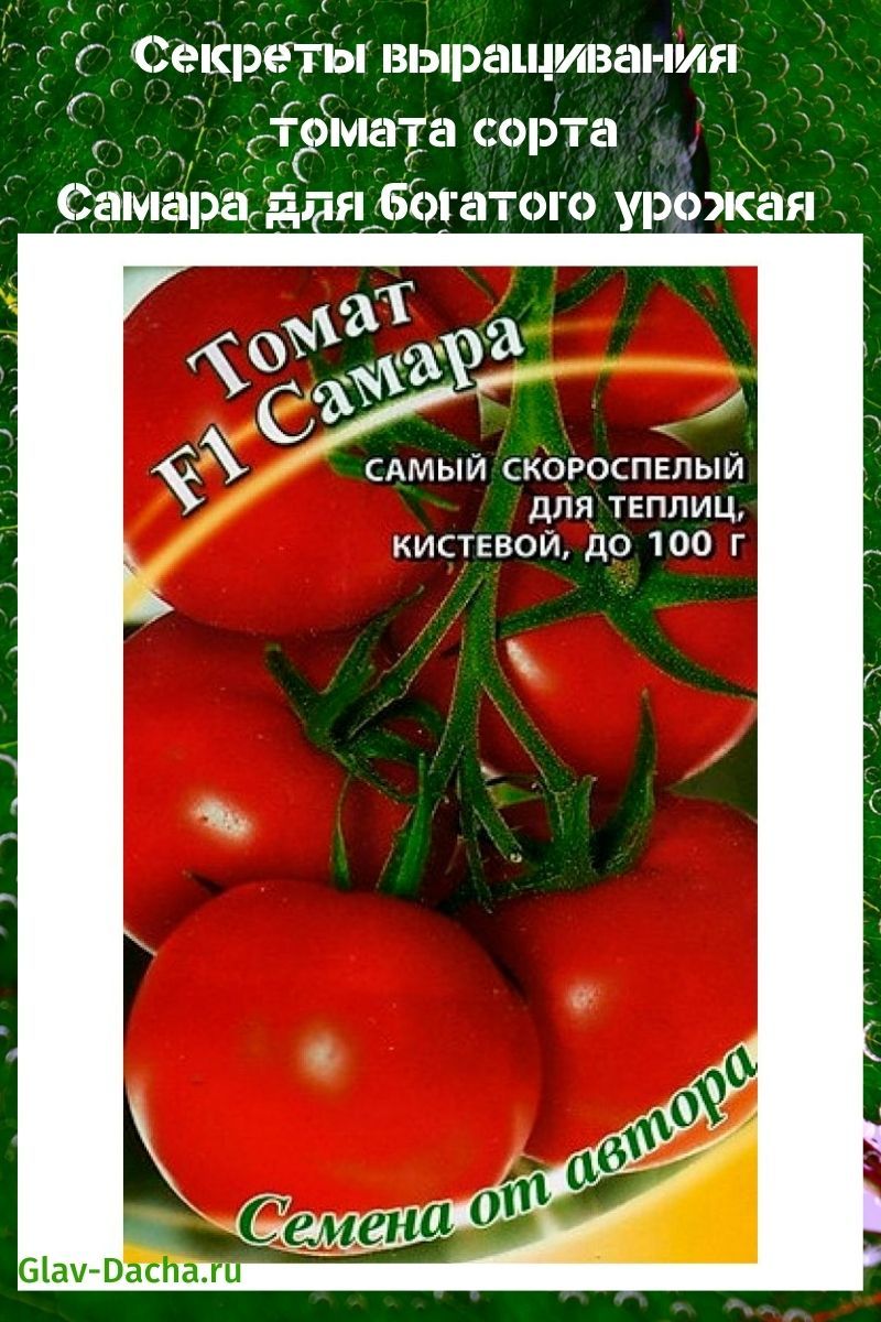 Samara rajče